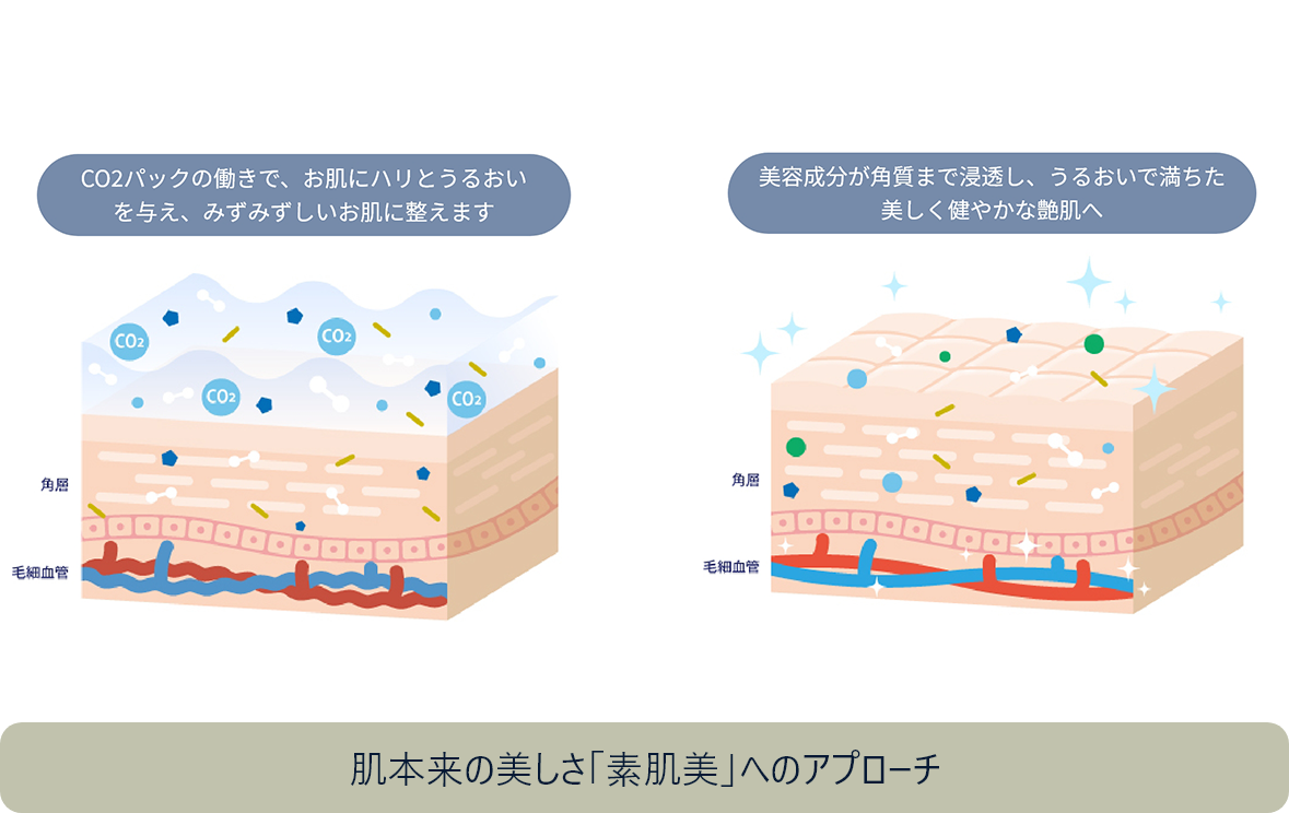 肌本来の美しさ「素肌美」へのアプローチ